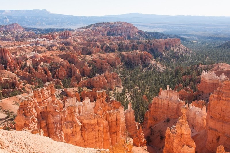 Blick über die roten bizarren Felsformationen des Bryce Canyon in Utah