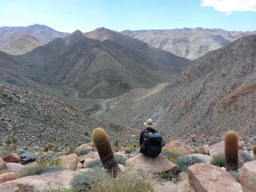 Ein Wanderer sitzt auf einem Stein in einer Wüste mit Kakteen und blickt hinab auf ein Tal und ferne Berge