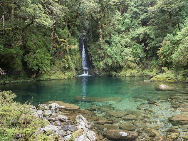 Kleiner Wasserfall endet in einem grünlichen Wasserbecken in einem Wald in Neuseeland